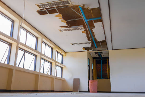 Best Ceiling water damage repair  in Mill Neck, NY