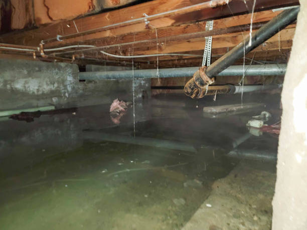 Best Residential water damage restoration  in Mill Neck, NY