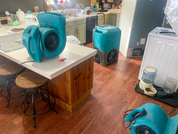 Best Water damage restoration experts  in Mill Neck, NY