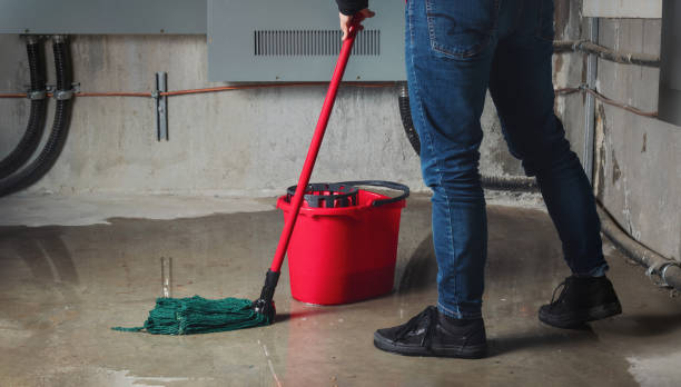 Best Water damage restoration near me  in Mill Neck, NY