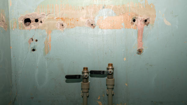 Best Water damage restoration insurance claims  in Mill Neck, NY
