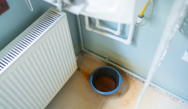 Best Water damage restoration near me  in Mill Neck, NY