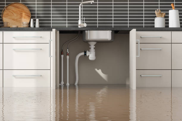 Best Professional water damage repair  in Mill Neck, NY