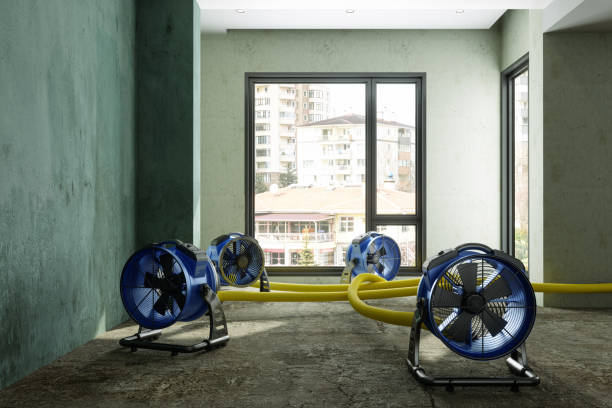 Best Basement water damage restoration  in Mill Neck, NY