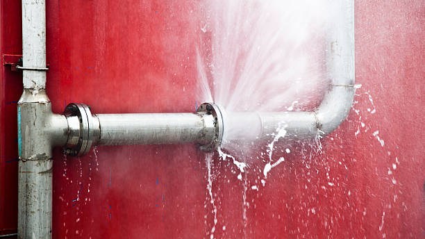 Best Flood damage cleanup  in Mill Neck, NY